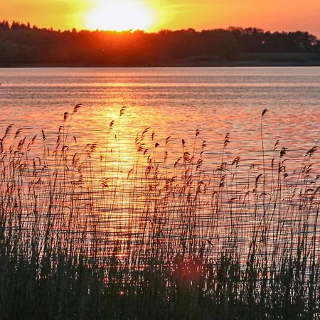 דירה 2 Bedroom Cozy In רשלין